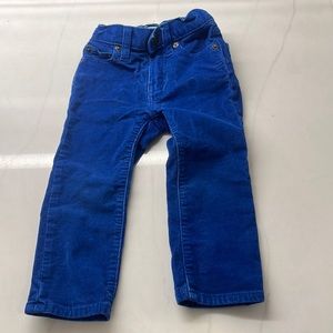 Crewcut size 2 royal blue BOYS